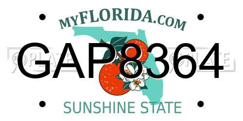 GAP8364 Florida License Plate