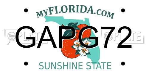 GAPG72 Florida License Plate