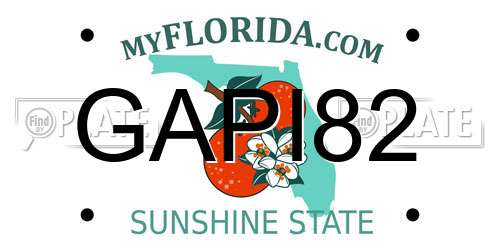 GAPI82 Florida License Plate