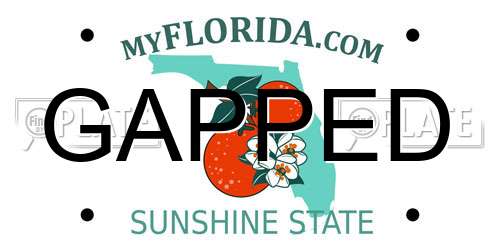 GAPPED Florida License Plate