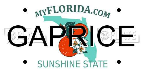 GAPRICE Florida License Plate