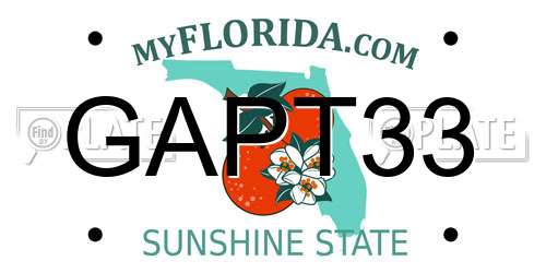 GAPT33 Florida License Plate