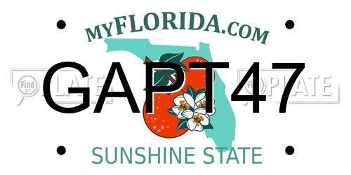GAPT47 Florida License Plate