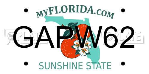 GAPW62 Florida License Plate