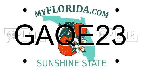 GAQE23 Florida License Plate