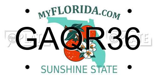 GAQR36 Florida License Plate
