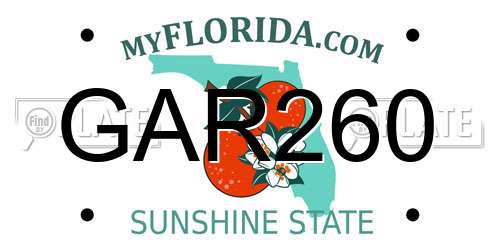 GAR260 Florida License Plate