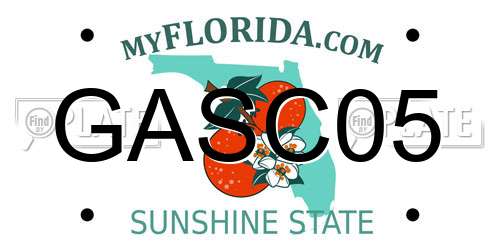 GASC05 Florida License Plate
