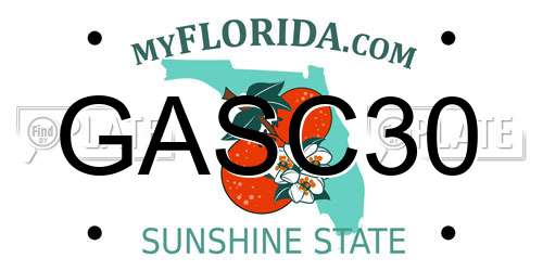 GASC30 Florida License Plate