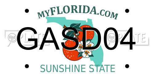 GASD04 Florida License Plate