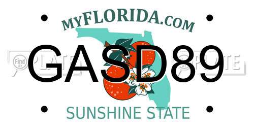 GASD89 Florida License Plate