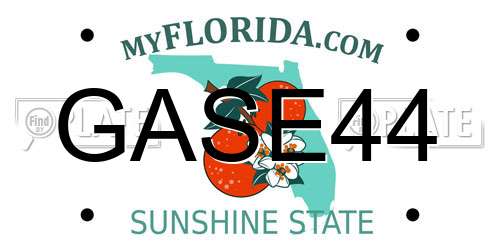 GASE44 Florida License Plate