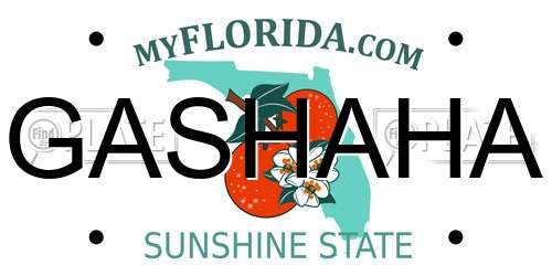 GASHAHA Florida License Plate