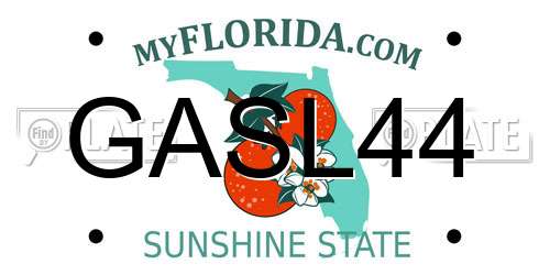 GASL44 Florida License Plate