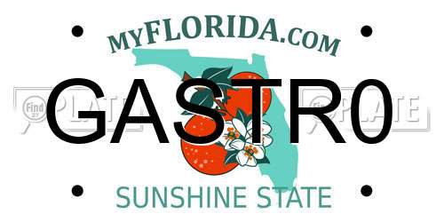 GASTR0 Florida License Plate