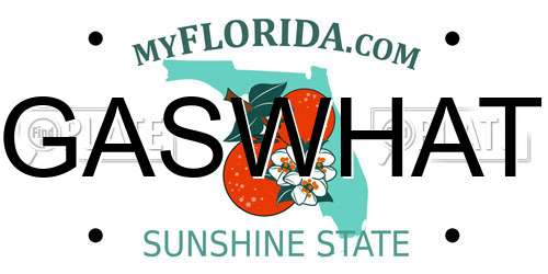 GASWHAT Florida License Plate