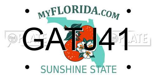 GATJ41 Florida License Plate