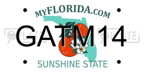 GATM14 Florida License Plate