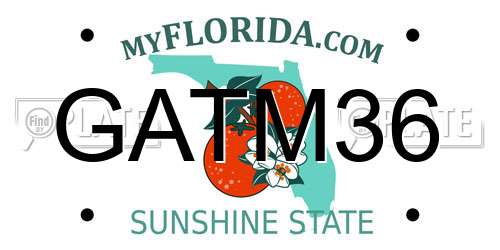 GATM36 Florida License Plate