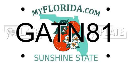 GATN81 Florida License Plate