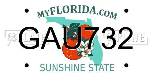 GAU732 Florida License Plate