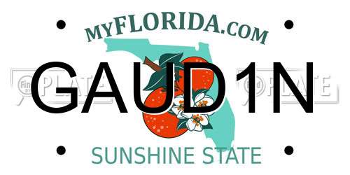GAUD1N Florida License Plate