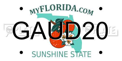GAUD20 Florida License Plate