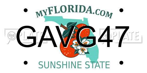 GAVG47 Florida License Plate