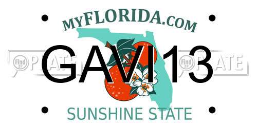 GAVI13 Florida License Plate