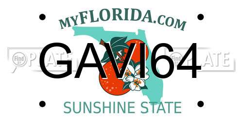 GAVI64 Florida License Plate