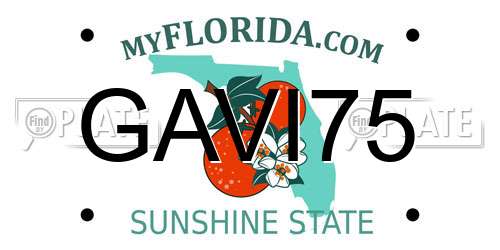 GAVI75 Florida License Plate
