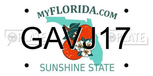 GAVJ17 Florida License Plate