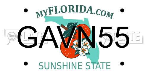 GAVN55 Florida License Plate