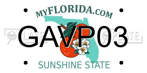 GAVP03 Florida License Plate