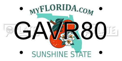 GAVR80 Florida License Plate