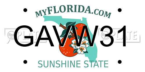 GAVW31 Florida License Plate
