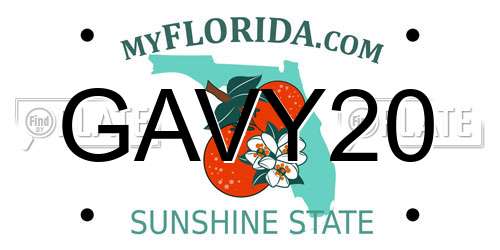 GAVY20 Florida License Plate