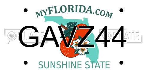 GAVZ44 Florida License Plate