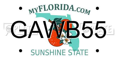 GAWB55 Florida License Plate
