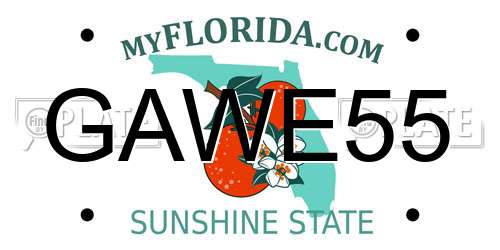 GAWE55 Florida License Plate