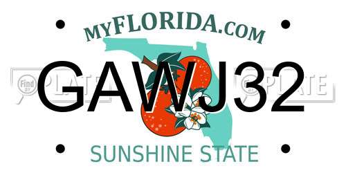 GAWJ32 Florida License Plate