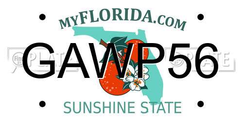 GAWP56 Florida License Plate