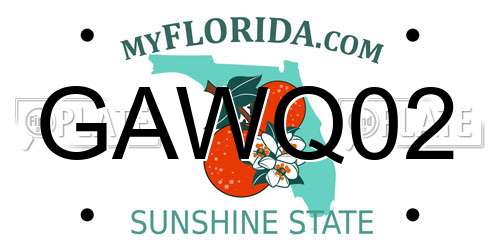 GAWQ02 Florida License Plate