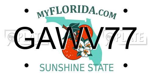 GAWV77 Florida License Plate