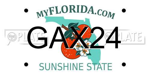 GAX24 Florida License Plate