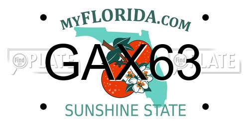 GAX63 Florida License Plate