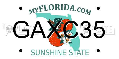GAXC35 Florida License Plate