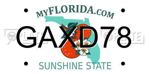 GAXD78 Florida License Plate