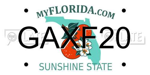 GAXF20 Florida License Plate