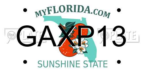 GAXP13 Florida License Plate
